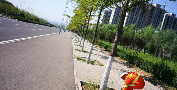 干净整洁的新城大道